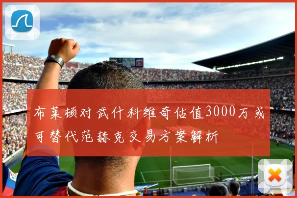 布莱顿对武什科维奇估值3000万或可替代范赫克交易方案解析
